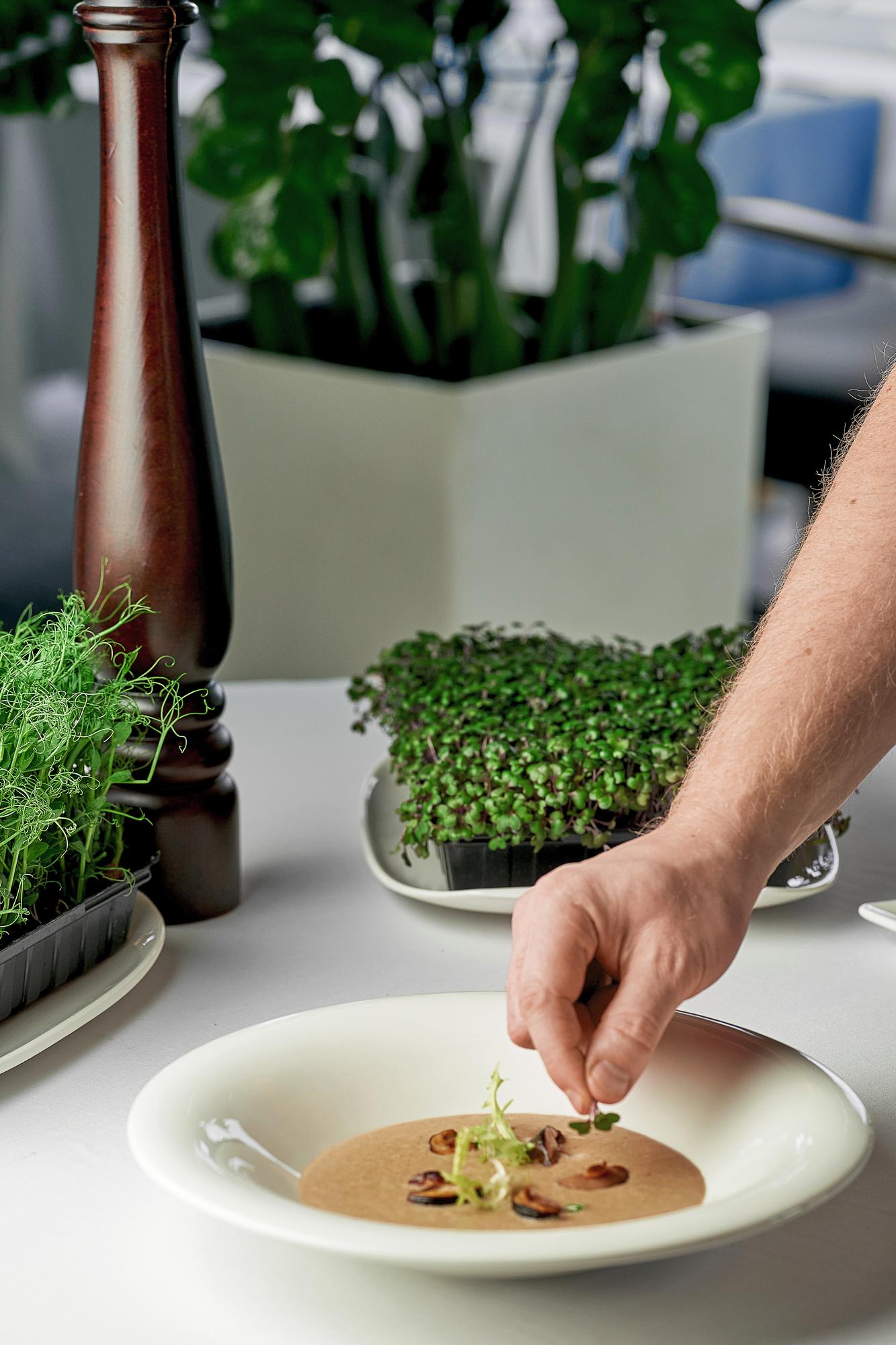 Close-up plated starter